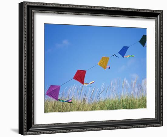 Kites on the Beach, Long Beach, Washington, USA-Merrill Images-Framed Photographic Print