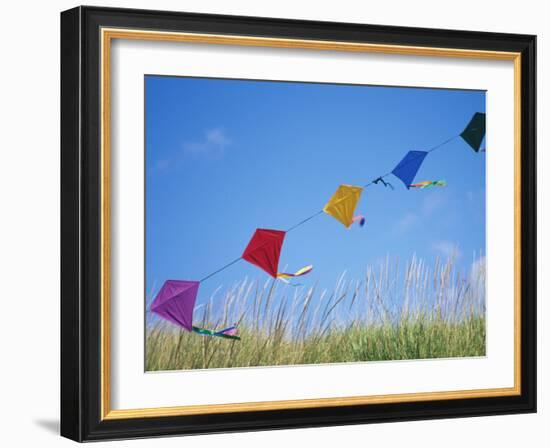 Kites on the Beach, Long Beach, Washington, USA-Merrill Images-Framed Photographic Print