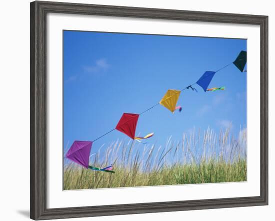 Kites on the Beach, Long Beach, Washington, USA-Merrill Images-Framed Photographic Print