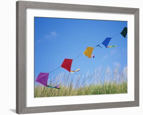 Kites on the Beach, Long Beach, Washington, USA-Merrill Images-Framed Photographic Print