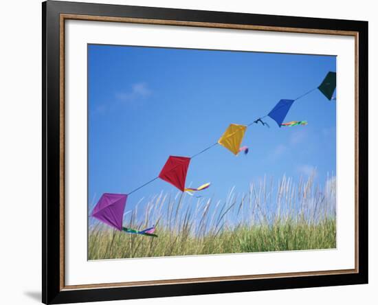 Kites on the Beach, Long Beach, Washington, USA-Merrill Images-Framed Photographic Print