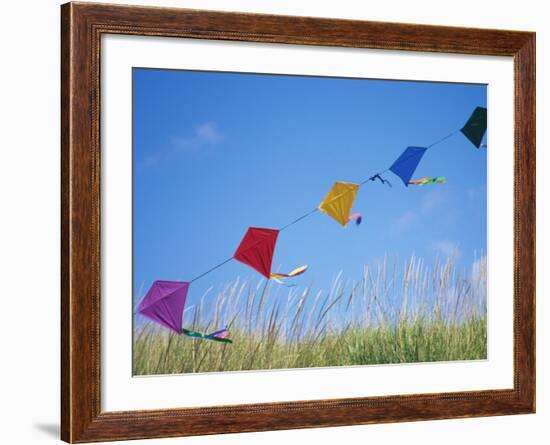 Kites on the Beach, Long Beach, Washington, USA-Merrill Images-Framed Photographic Print