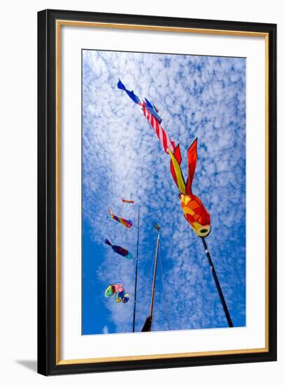 Kites-Charles Bowman-Framed Photographic Print