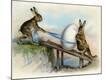 Premium Giclee Print