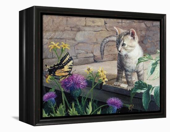 Kitten and Butterfly-Kevin Dodds-Framed Premier Image Canvas