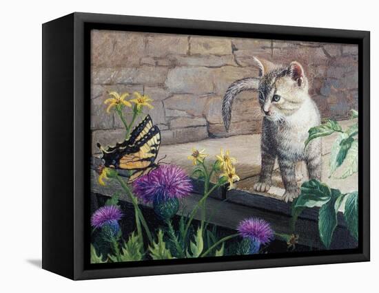 Kitten and Butterfly-Kevin Dodds-Framed Premier Image Canvas