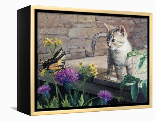 Kitten and Butterfly-Kevin Dodds-Framed Premier Image Canvas