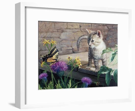 Kitten and Butterfly-Kevin Dodds-Framed Giclee Print