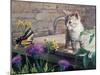 Kitten and Butterfly-Kevin Dodds-Mounted Giclee Print