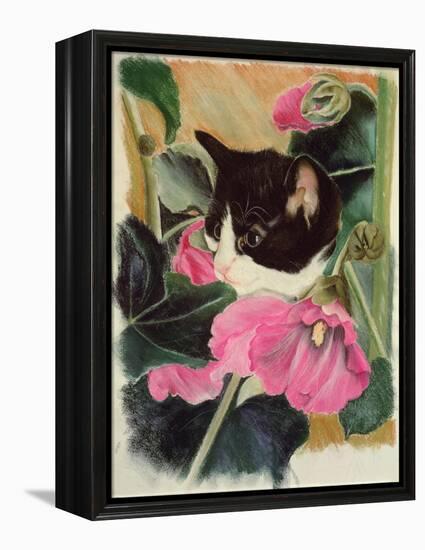 Kitten and Hollyhocks-Anne Robinson-Framed Premier Image Canvas