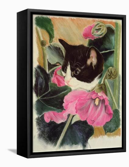 Kitten and Hollyhocks-Anne Robinson-Framed Premier Image Canvas