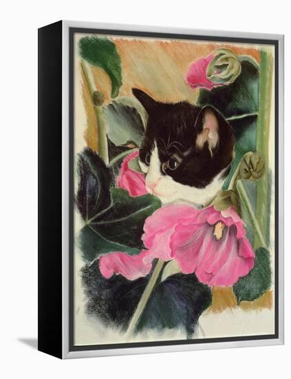 Kitten and Hollyhocks-Anne Robinson-Framed Premier Image Canvas