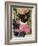 Kitten and Hollyhocks-Anne Robinson-Framed Giclee Print