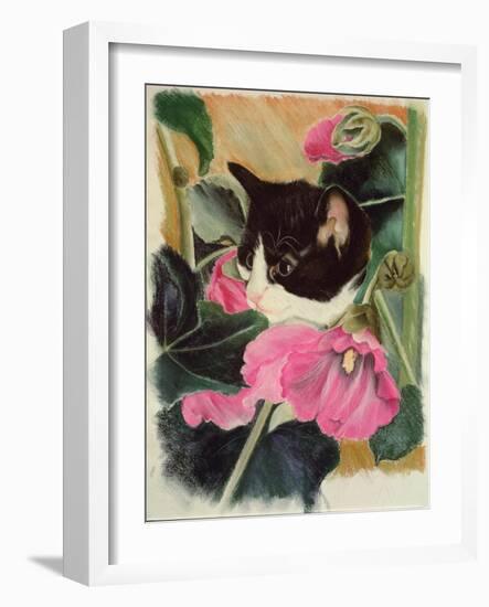 Kitten and Hollyhocks-Anne Robinson-Framed Giclee Print