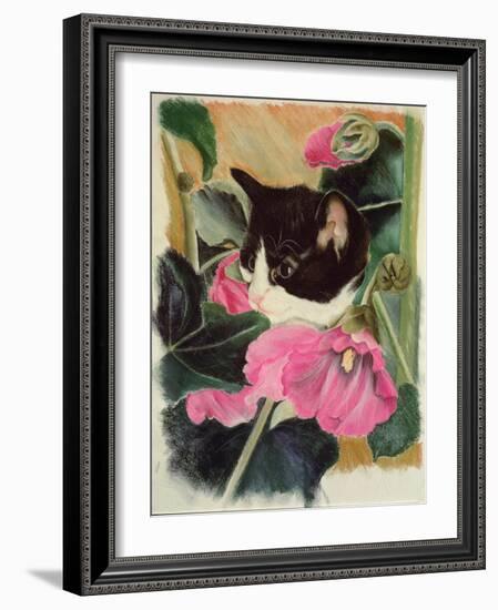 Kitten and Hollyhocks-Anne Robinson-Framed Giclee Print