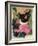 Kitten and Hollyhocks-Anne Robinson-Framed Giclee Print