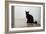 Kitten Black 1-Charles Bowman-Framed Photographic Print