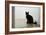 Kitten Black 1-Charles Bowman-Framed Photographic Print