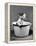 Kitten Emerging from Pot of Milk after Falling into It-Nina Leen-Framed Premier Image Canvas