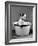 Kitten Emerging from Pot of Milk after Falling into It-Nina Leen-Framed Photographic Print