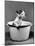 Kitten Emerging from Pot of Milk after Falling into It-Nina Leen-Mounted Photographic Print