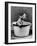 Kitten Emerging from Pot of Milk-Nina Leen-Framed Photographic Print