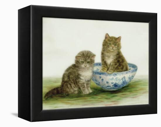 Kitten in a Blue China Bowl-Betsy Bamber-Framed Premier Image Canvas