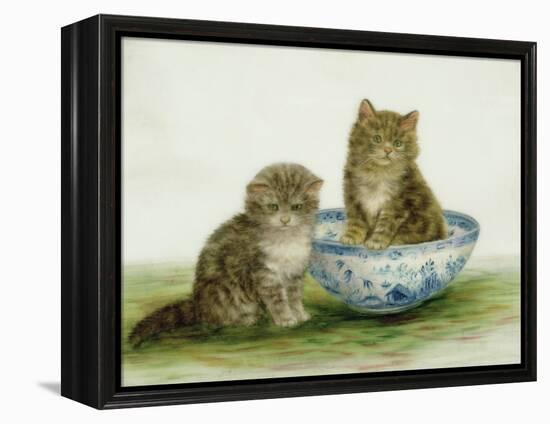 Kitten in a Blue China Bowl-Betsy Bamber-Framed Premier Image Canvas