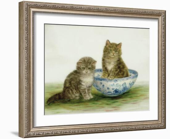 Kitten in a Blue China Bowl-Betsy Bamber-Framed Giclee Print