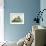 Kitten in a Blue China Bowl-Betsy Bamber-Framed Giclee Print displayed on a wall