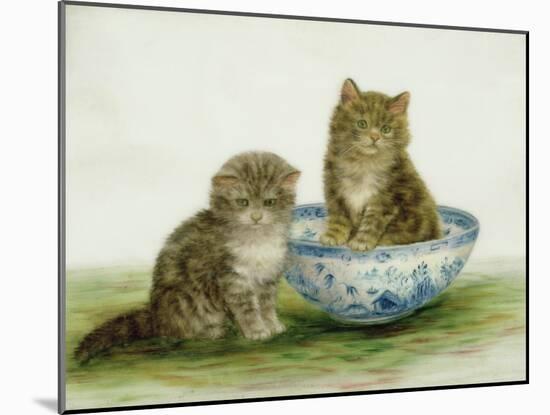 Kitten in a Blue China Bowl-Betsy Bamber-Mounted Giclee Print