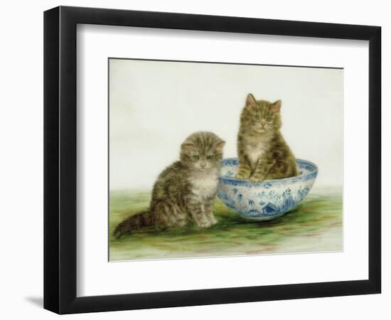 Kitten in a Blue China Bowl-Betsy Bamber-Framed Premium Giclee Print