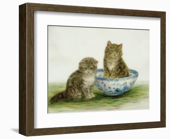 Kitten in a Blue China Bowl-Betsy Bamber-Framed Giclee Print