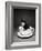 Kitten in a Teacup-Robert Essel-Framed Photographic Print