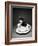 Kitten in a Teacup-Robert Essel-Framed Photographic Print