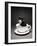 Kitten in a Teacup-Robert Essel-Framed Photographic Print