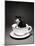 Kitten in a Teacup-Robert Essel-Mounted Photographic Print