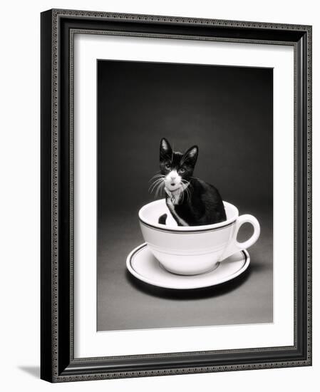 Kitten in a Teacup-Robert Essel-Framed Photographic Print