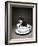 Kitten in a Teacup-Robert Essel-Framed Photographic Print