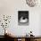Kitten in a Teacup-Robert Essel-Photographic Print displayed on a wall