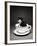 Kitten in a Teacup-Robert Essel-Framed Photographic Print
