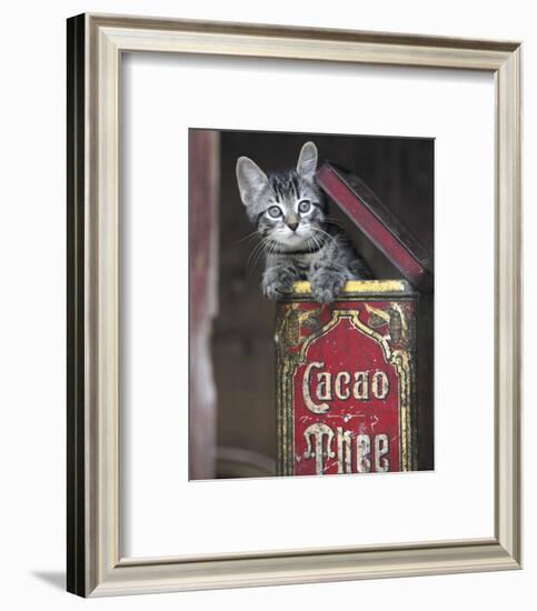 Kitten in Box-Hubert-Framed Art Print