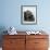 Kitten in Each Drawer-null-Framed Photographic Print displayed on a wall