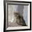 Kitten in Heracleion-CM Dixon-Framed Photographic Print