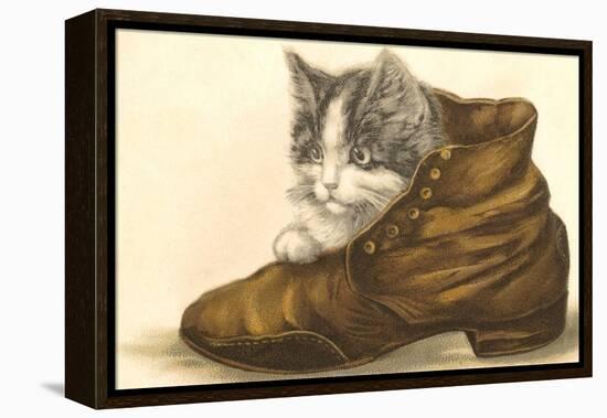 Kitten in Shoe-null-Framed Stretched Canvas