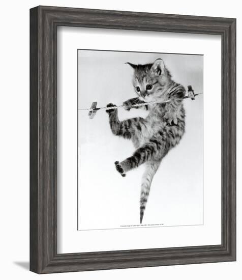 Kitten on a Clothes Line-Erik Parbst-Framed Art Print