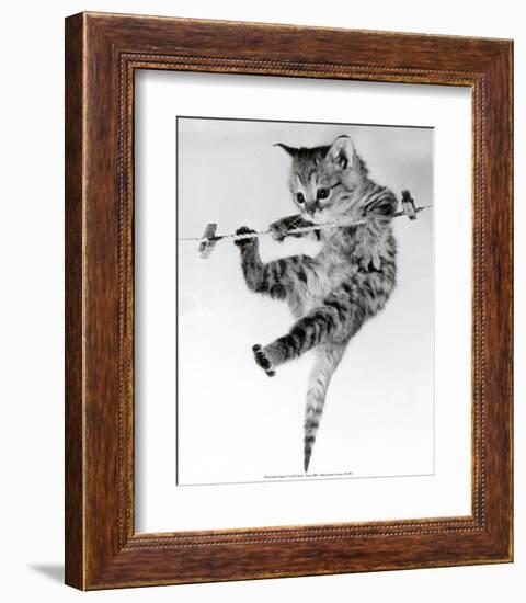 Kitten on a Clothes Line-Erik Parbst-Framed Art Print