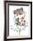 Kitten on a Flower-ZPR Int’L-Framed Giclee Print