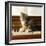 Kitten Playing on Piano-null-Framed Photographic Print