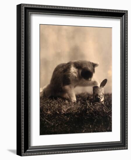 Kitten Playing with Canned Food-null-Framed Art Print